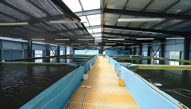 养殖专用耐酸碱环氧涂料 守护畜禽舍长效防腐安全