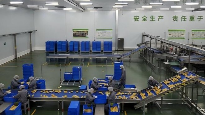 食品接触级环氧涂料 护航食品加工设施内壁长效防护