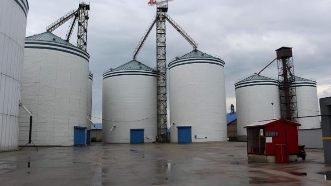 粮油仓储专用防霉无毒环氧防腐涂料 守护储粮安全