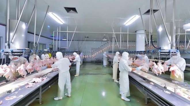 屠宰车间台面专用无毒环氧防腐涂料 食品级防护更可靠