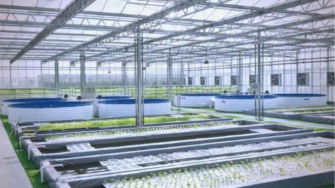 农业设施防腐涂料 守护冷链仓储金属设备长效耐用