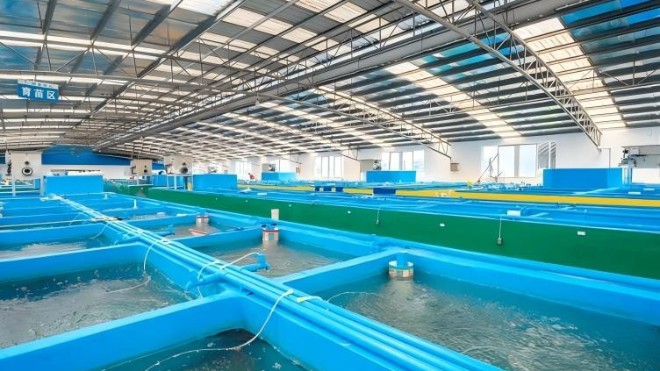 水产养殖用无毒环氧涂料 护航养殖设施长效防腐